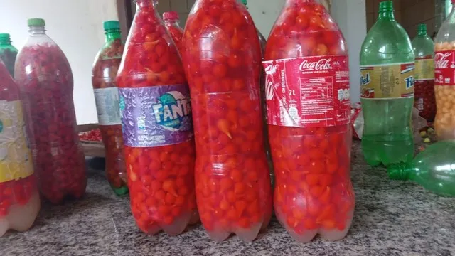 Biquinho no atacado
