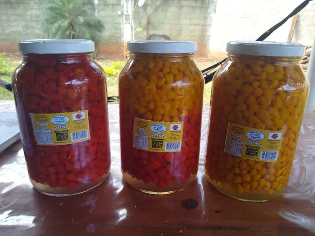 Biquinho 1,6 kg drenado