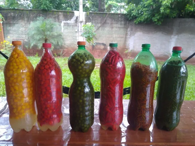 Pimentas na pet 