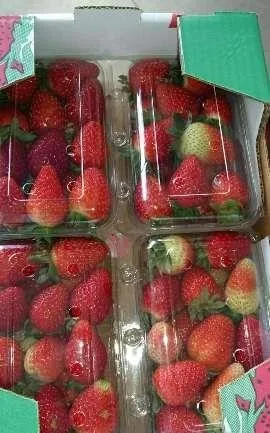 morango 3 por 10