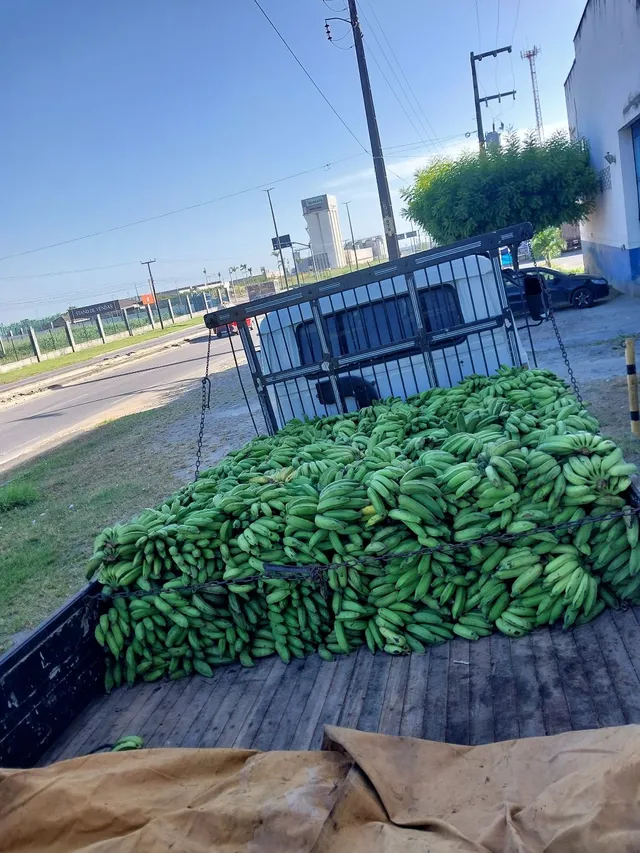 Banana 