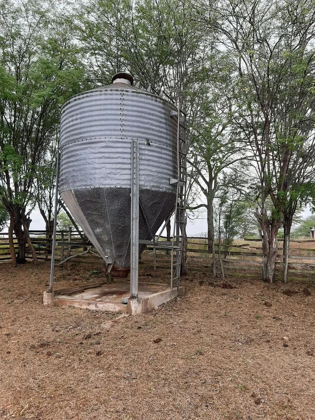 Silo de ração 