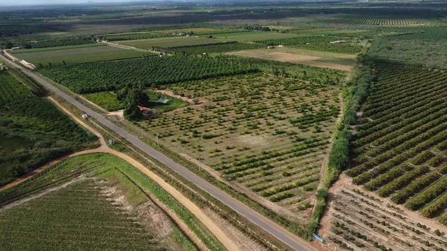 Lote agrícola irrigado 