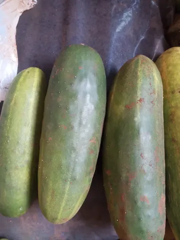 Pepino