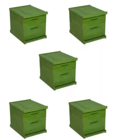 IMPERDÍVEL. 5 CAIXAS NINHO, 10 MELGUEIRAS