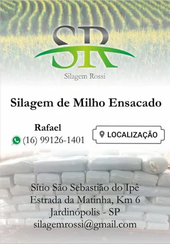 Silagem de milho ensacado