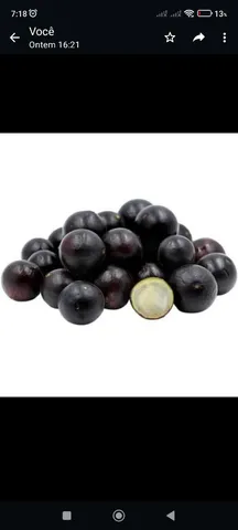 Vendo Frutas Jabuticaba