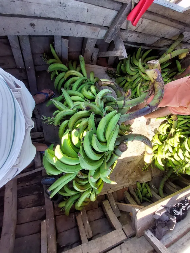 Banana Pacovan 