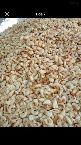 Castanha 