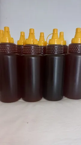 Mel de Abelha Orgânico - 100% Puro - 1Kg R$ 40,00