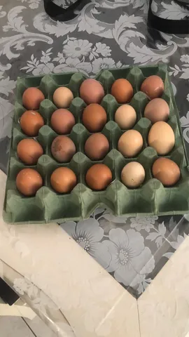 OVO CAIPIRA 20 OVOS 25 REAIS 