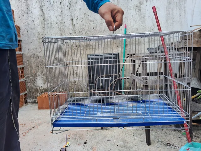 Gaiola em perfeito estado 