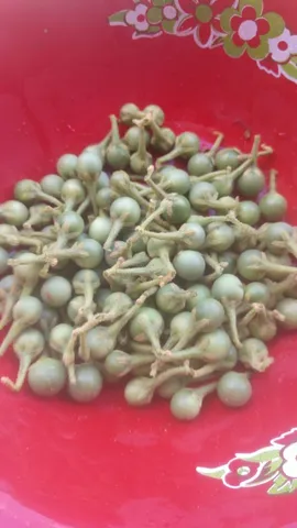 Jurubeba verde