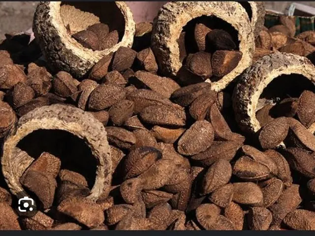 Castanhas do Pará 