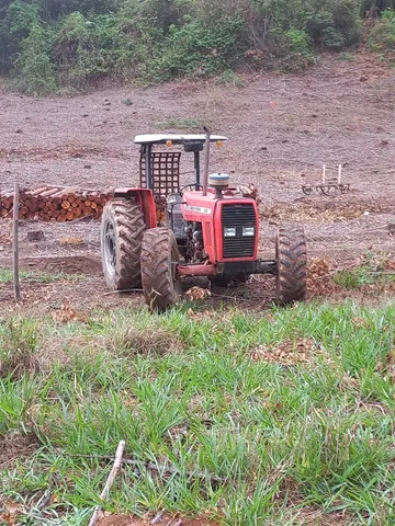 Trator massey ferguson com guincho tmo 