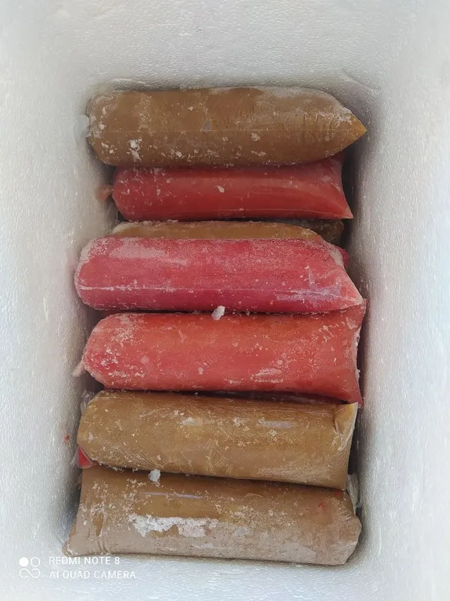 Polpa natural para suco 