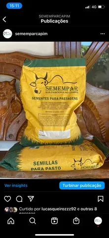 Sementes de Capim PURAS SEMEMPAR !