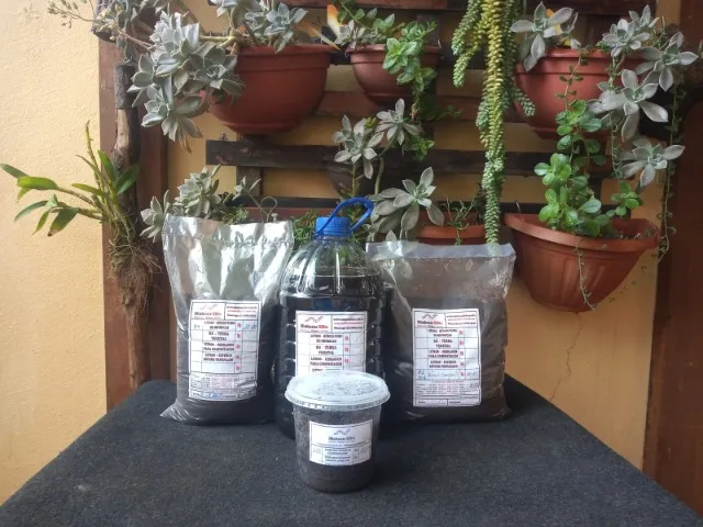 Minhocas, terra adubada, serragem, substrato para plantas