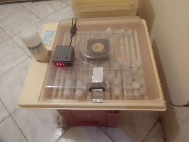 Chocadeira Premium Ecologica