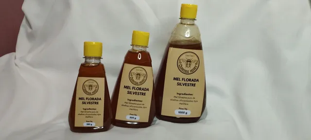 Mel Puro De Florada Silvestre - Bisnaga De 500g.