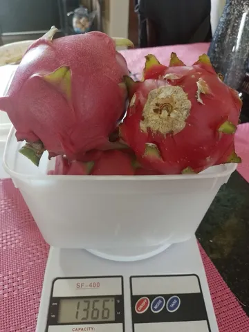 Pitaya