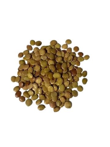 1 kg de Sementes de Gliricidia 
