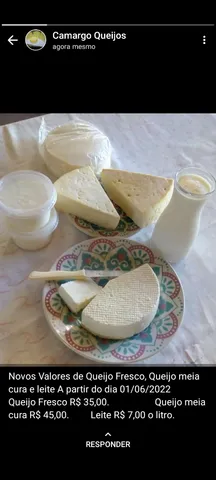 Queijo fresco 